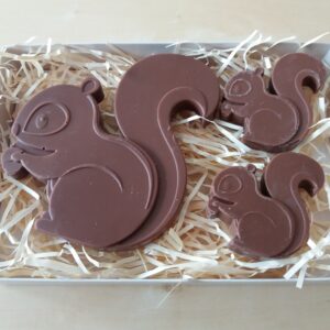 Milk Chocolate Squirrel Family Gift Box